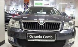 1 469 р. Сетка на бампер Russtal (черная) Skoda Octavia A5 рестайлинг универсал (2008-2013)  с доставкой в г. Пермь. Увеличить фотографию 3