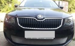 1 599 р. Сетка (для комплектации Active) на бампер Russtal (хром) Skoda Octavia A7 дорестайлинг универсал (2012-2017)  с доставкой в г. Пермь. Увеличить фотографию 3
