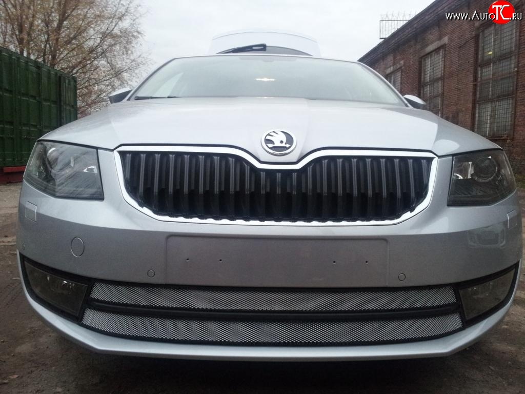 2 699 р. Сетка (для комплектации Ambition, Elegance) на бампер Russtal (хром) Skoda Octavia A7 дорестайлинг универсал (2012-2017)  с доставкой в г. Пермь