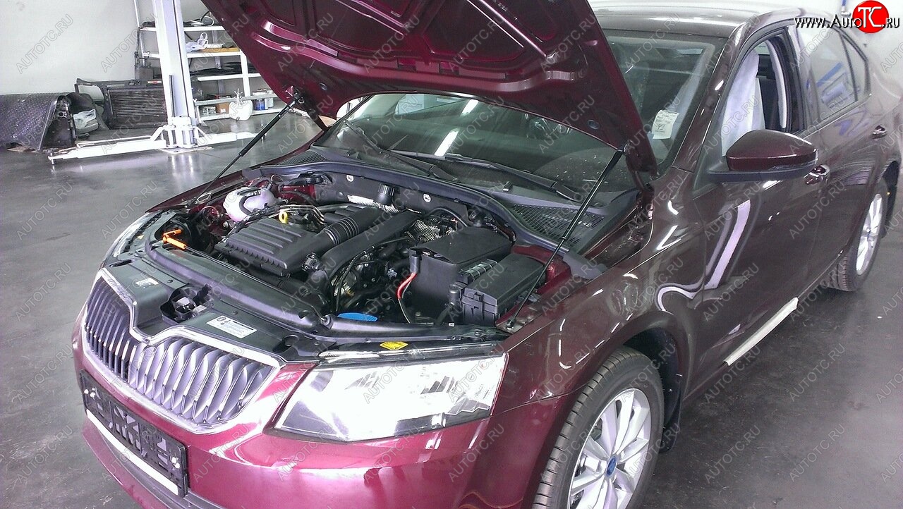 2 049 р. Упоры капота Russtal Skoda Octavia A7 дорестайлинг универсал (2012-2017)  с доставкой в г. Пермь