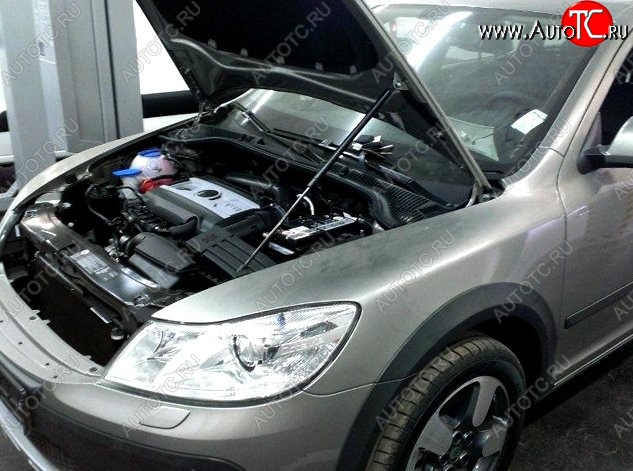 1 849 р. Газовый упор капота CT  Skoda Octavia  A5 (2004-2008) дорестайлинг лифтбэк, дорестайлинг универсал  с доставкой в г. Пермь
