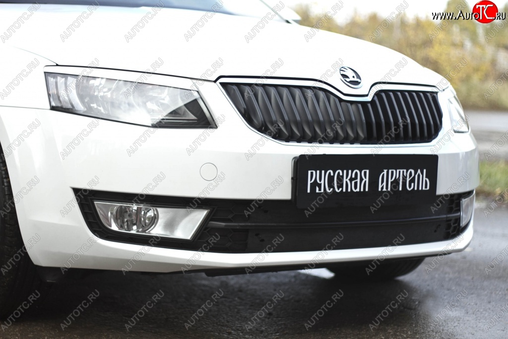1 039 р. Зимняя заглушка решетки переднего бампера РА Skoda Octavia A7 дорестайлинг универсал (2012-2017)  с доставкой в г. Пермь