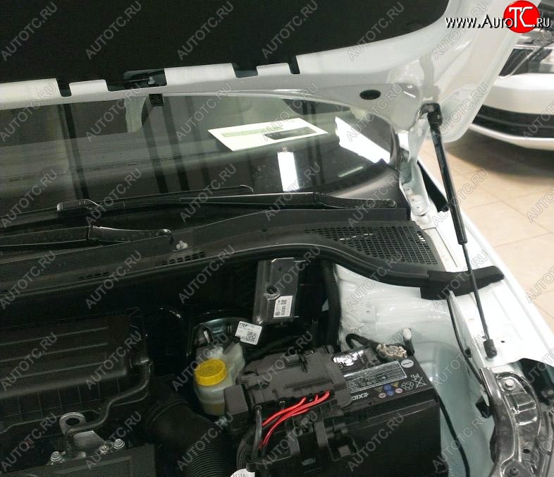 2 199 р. Газовые упоры капота Berkut Skoda Rapid NH3 дорестайлинг лифтбэк (2012-2017)  с доставкой в г. Пермь