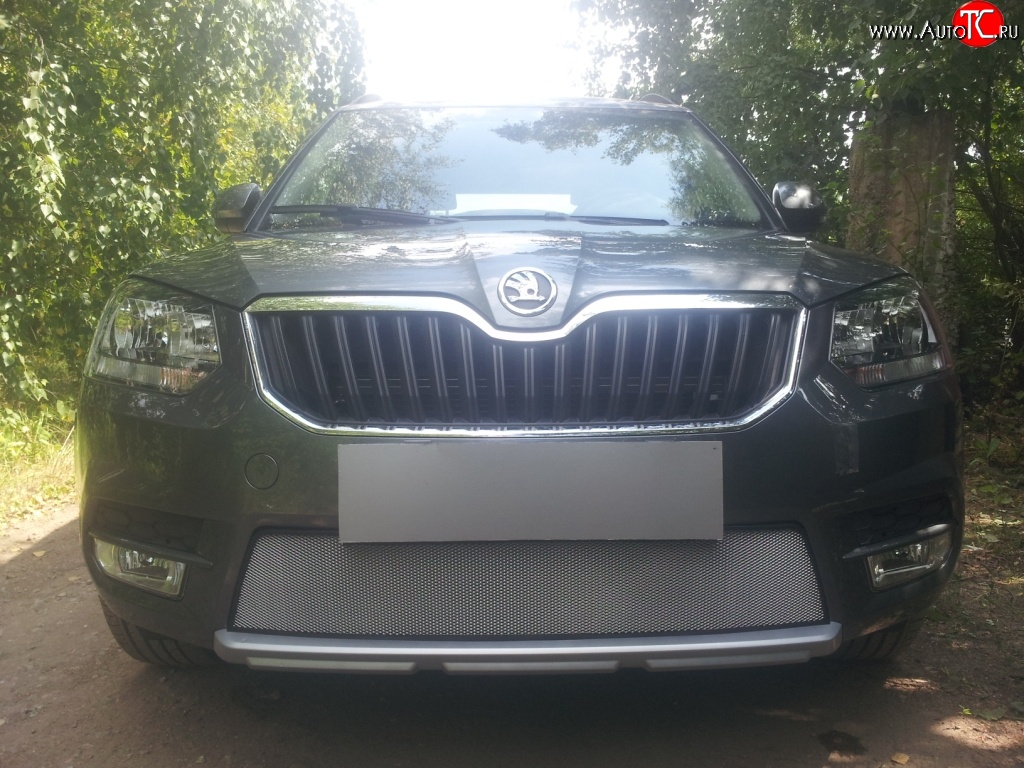 1 539 р. Сетка на бампер City Russtal (хром) Skoda Yeti (2013-2018)  с доставкой в г. Пермь