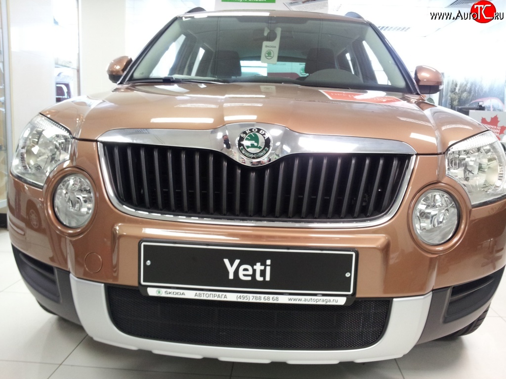 1 469 р. Сетка на бампер Russtal (черная) Skoda Yeti (2009-2013)  с доставкой в г. Пермь