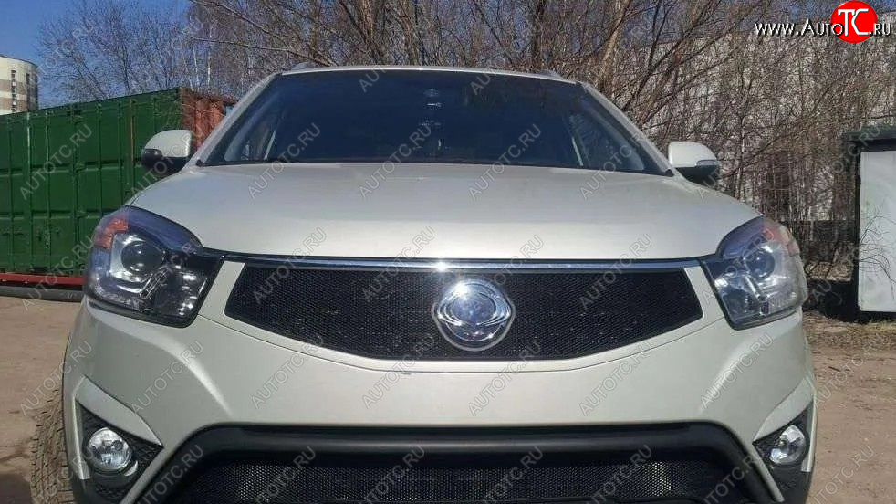 1 469 р. Защитная сетка в решетку радиатора Russtal SSANGYONG Actyon рестайлинг (2013-2021)  с доставкой в г. Пермь