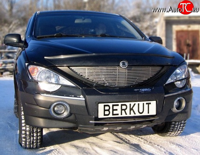5 999 р. Декоративная вставка решетки радиатора Berkut SSANGYONG Actyon Sport (2006-2011)  с доставкой в г. Пермь