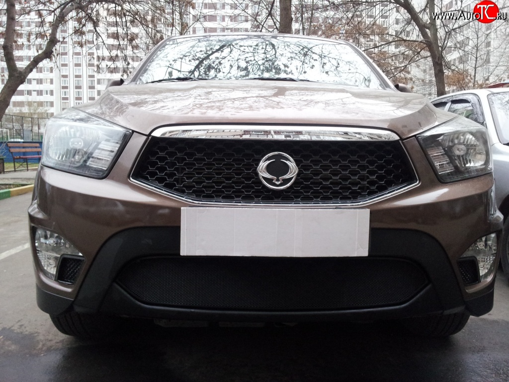 1 469 р. Сетка на бампер Russtal (черная) SSANGYONG Actyon Sport (2012-2025)  с доставкой в г. Пермь