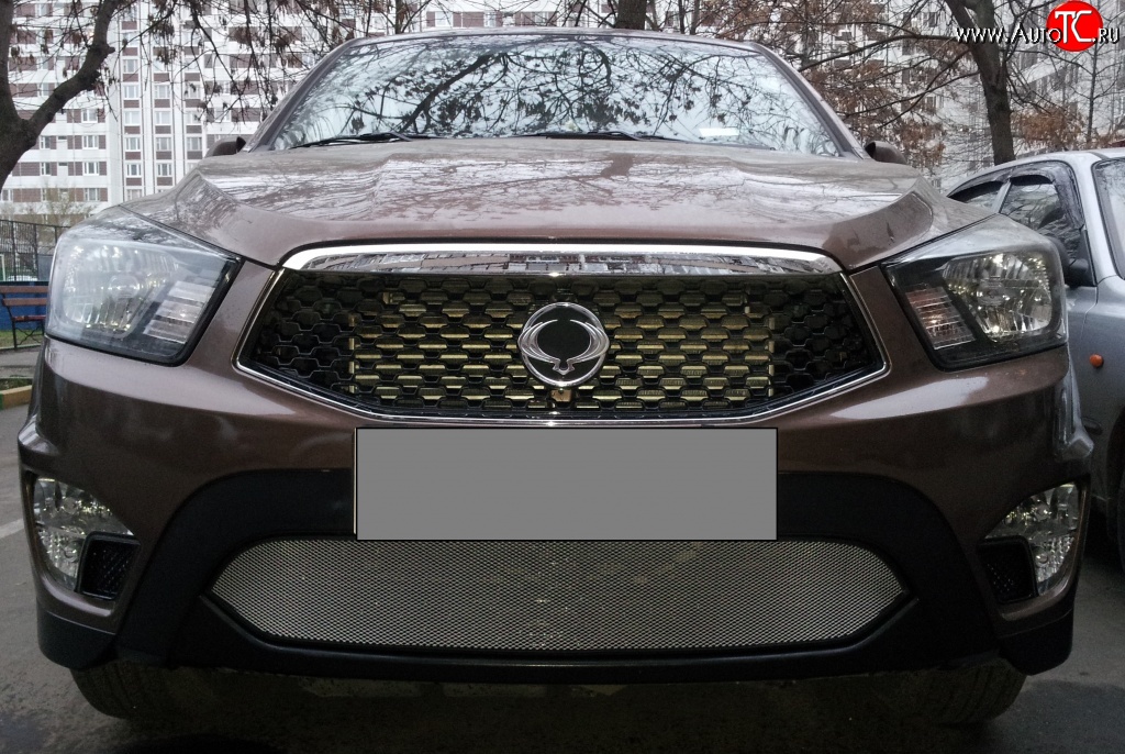 1 539 р. Сетка на бампер Russtal (хром) SSANGYONG Actyon Sport (2012-2025)  с доставкой в г. Пермь
