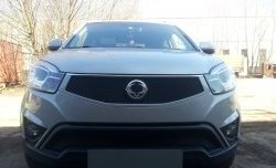 1 469 р. Сетка в решетку радиатора Russtal SSANGYONG Actyon рестайлинг (2013-2021) (черная)  с доставкой в г. Пермь. Увеличить фотографию 2