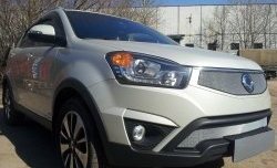 1 539 р. Нижняя сетка на бампер Russtal (хром) SSANGYONG Actyon рестайлинг (2013-2021)  с доставкой в г. Пермь. Увеличить фотографию 2