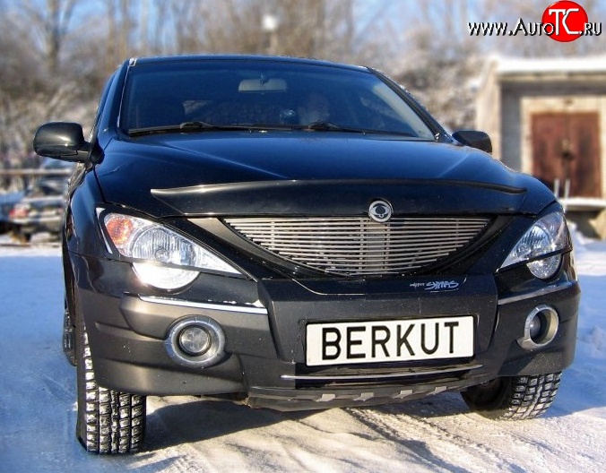 5 999 р. Декоративная вставка решетки радиатора Berkut SSANGYONG Actyon 1 (2006-2010)  с доставкой в г. Пермь