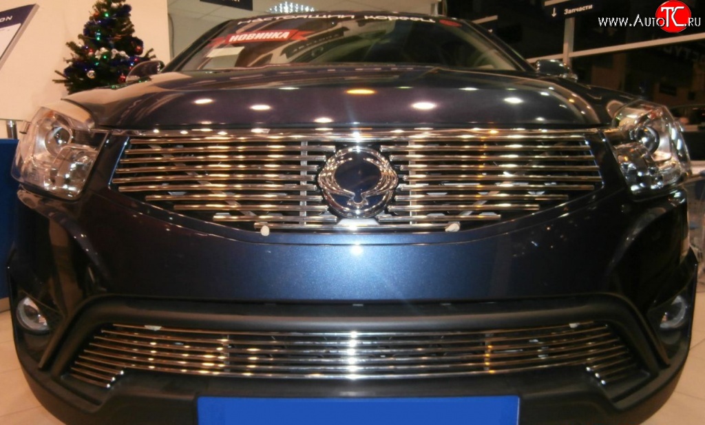 5 799 р. Декоративная вставка решетки радиатора Berkut SSANGYONG Actyon рестайлинг (2013-2021)  с доставкой в г. Пермь