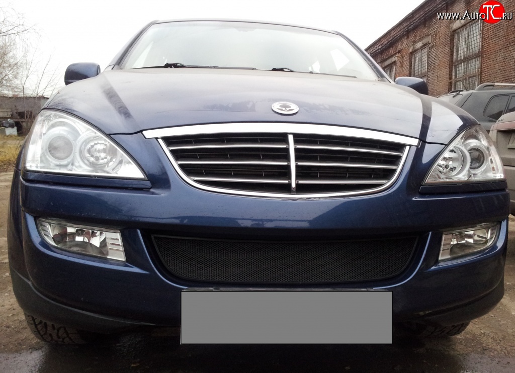 1 469 р. Сетка на бампер Russtal (черная) SSANGYONG Kyron дорестайлинг (2005-2007)  с доставкой в г. Пермь