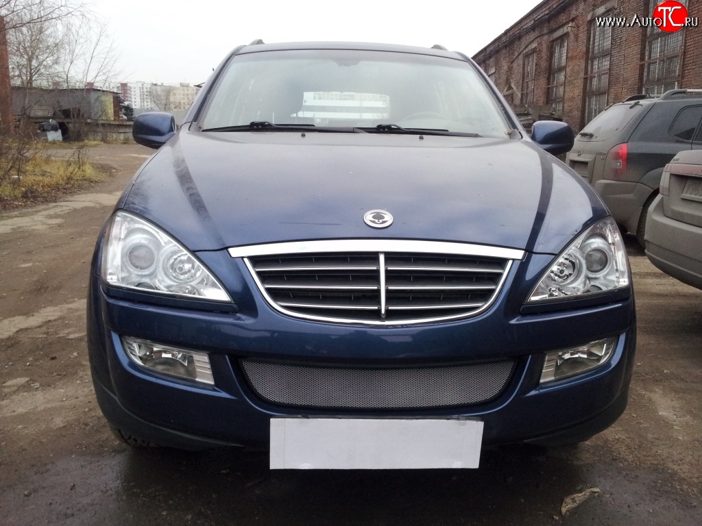 1 539 р. Сетка на бампер Russtal (хром) SSANGYONG Kyron дорестайлинг (2005-2007)  с доставкой в г. Пермь