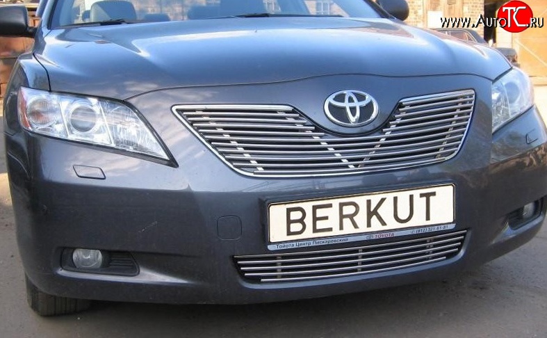 6 499 р. Декоративная вставка решетки радиатора Berkut Toyota Camry XV40 рестайлинг (2009-2011)  с доставкой в г. Пермь