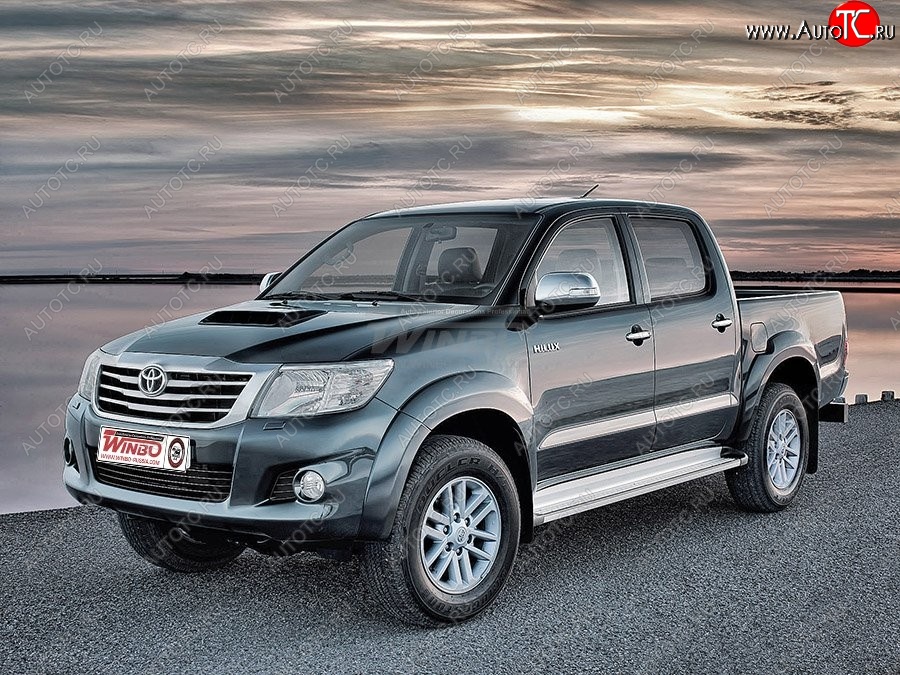 15 299 р. Подножки боковые WINBO OE Style Toyota Hilux AN20,AN30  2-ой рестайлинг (2011-2016)  с доставкой в г. Пермь