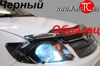 1 999 р. Защита фар (с 2004 г.) CA-Plastic Toyota Kluger XU20 дорестайлинг (2000-2003) (Classic черный)  с доставкой в г. Пермь