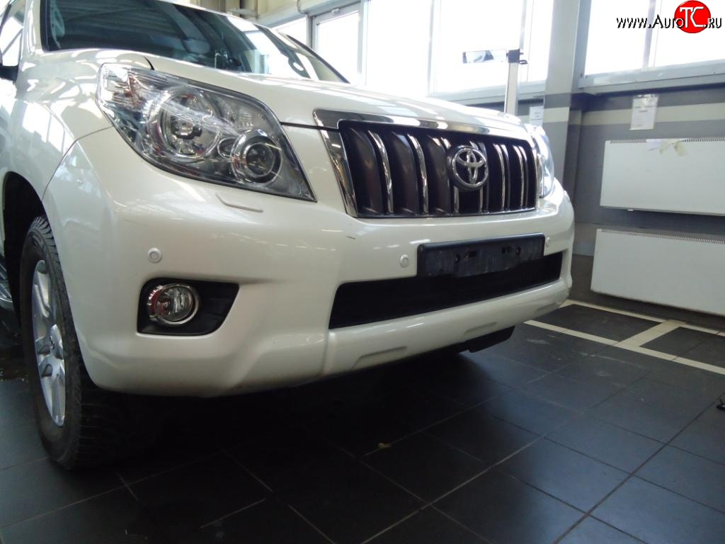 1 469 р. Сетка на бампер Russtal (черная) Toyota Land Cruiser Prado J150 дорестайлинг (2009-2013)  с доставкой в г. Пермь