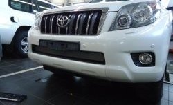 1 539 р. Сетка на бампер Russtal (хром) Toyota Land Cruiser Prado J150 дорестайлинг (2009-2013)  с доставкой в г. Пермь. Увеличить фотографию 2