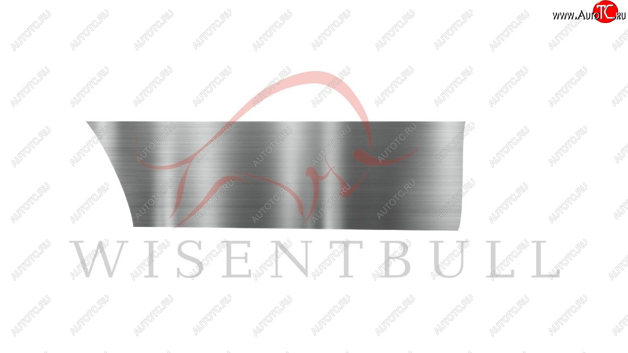 1 989 р. Ремкомплект правой двери Wisentbull  Toyota Opa (2000-2005)  с доставкой в г. Пермь