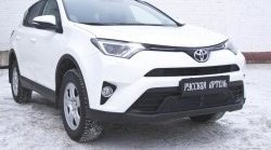 429 р. Реснички на фары RA  Toyota RAV4  XA40 (2015-2019) 5 дв. рестайлинг (Неокрашенные)  с доставкой в г. Пермь. Увеличить фотографию 2