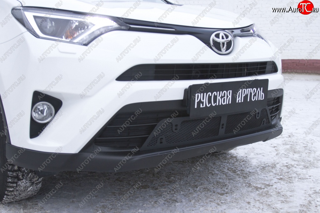 1 969 р. Защитная сетка решетки переднего бампера РА Toyota RAV4 XA40 5 дв. рестайлинг (2015-2019)  с доставкой в г. Пермь