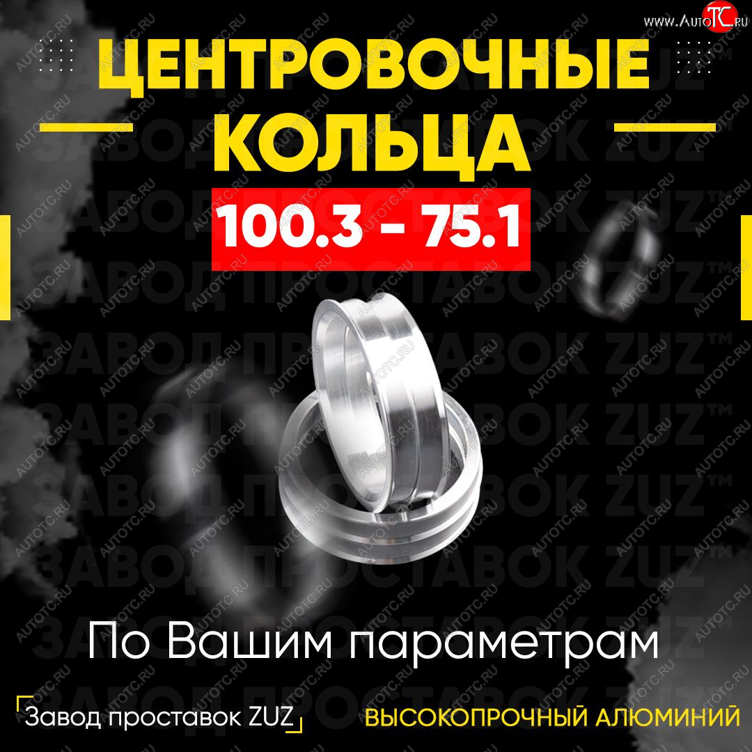 1 849 р. Алюминиевое центровочное кольцо   (4 шт) ЗУЗ 75.1 x 100.3    с доставкой в г. Пермь