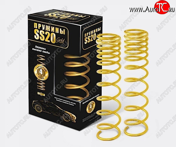 8 499 р. Пружины передние SS20 серии Gold Progressive Лада 2112 купе (2002-2009)  с доставкой в г. Пермь