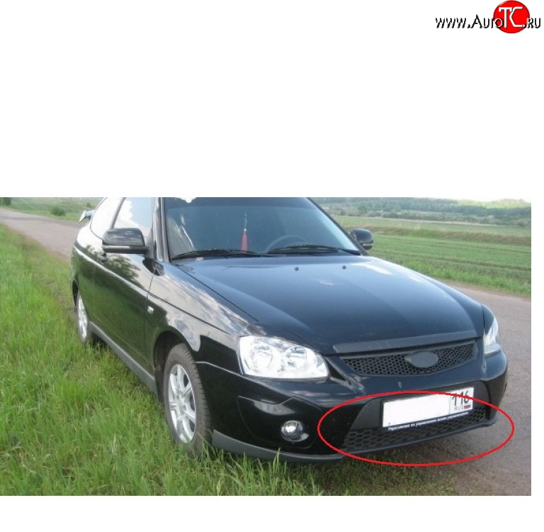 439 р. Решетка бампера 21728 Priora Sport нижняя Лада Приора 2171 универсал дорестайлинг  (2008-2014)  с доставкой в г. Пермь