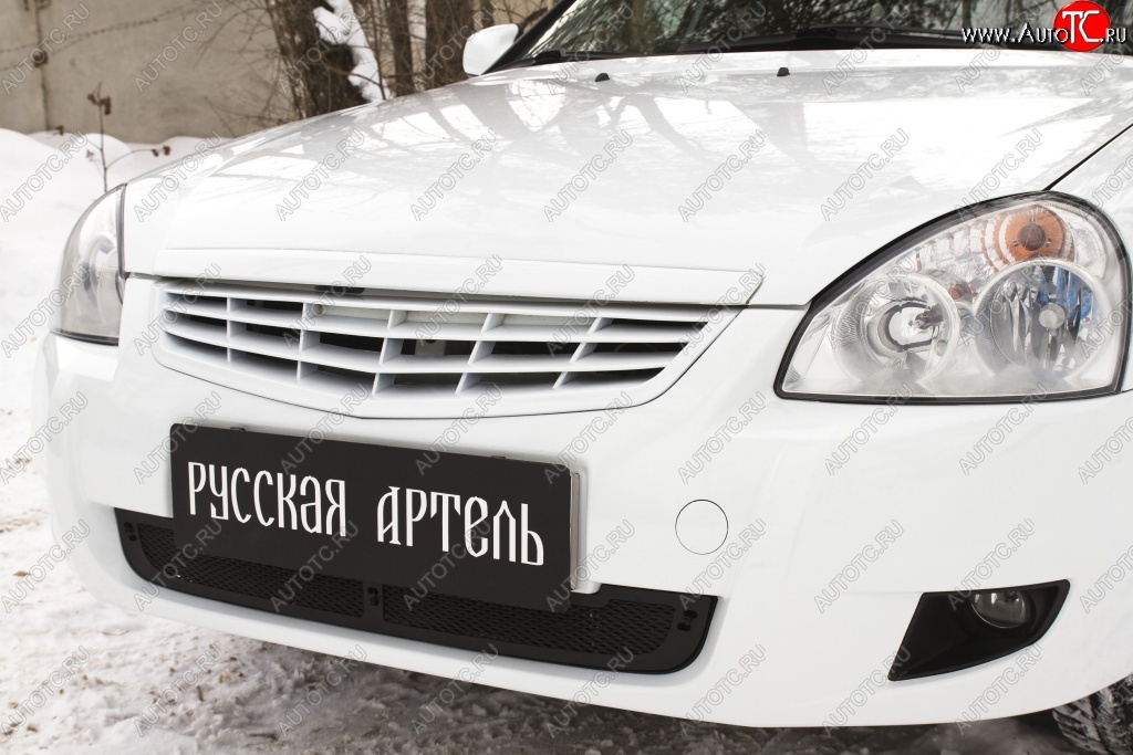 1 369 р. Защитная сетка решетки переднего бампера (рестайлинг) РА  Лада Приора  2172 (2008-2014) хэтчбек дорестайлинг  с доставкой в г. Пермь
