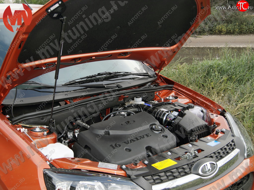 1 799 р. Упор капота MV-Tuning (одинарный; без кронштейна) Лада Калина Спорт 2192 хэтчбэк (2014-2018)  с доставкой в г. Пермь