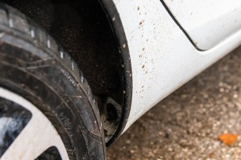 3 999 р. Защитные накладки на арки ArtForm Лада Веста SW 2181 универсал дорестайлинг (2017-2022) (Поверхность: шагрень)  с доставкой в г. Пермь. Увеличить фотографию 3