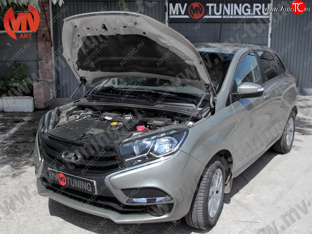 4 099 р. Упор капота MV-Tuning (двойной) Лада XRAY (2016-2022)  с доставкой в г. Пермь