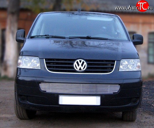 3 999 р. Декоративная вставка воздухозаборника Multivan (рестайлинг) Berkut Volkswagen Transporter T5 дорестайлинг (2003-2009)  с доставкой в г. Пермь