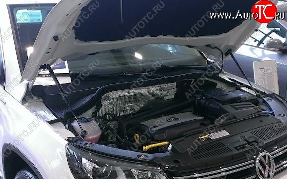 2 199 р. Газовый упор капота Berkut Volkswagen Tiguan NF дорестайлинг (2006-2011)  с доставкой в г. Пермь