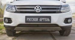 1 699 р. Защитная сетка решетки переднего бампера (Track & Field) РА Volkswagen Tiguan NF рестайлинг (2011-2017)  с доставкой в г. Пермь. Увеличить фотографию 2