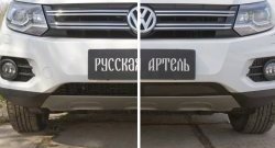 1 699 р. Защитная сетка решетки переднего бампера (Track & Field) РА Volkswagen Tiguan NF рестайлинг (2011-2017)  с доставкой в г. Пермь. Увеличить фотографию 4