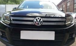 2 099 р. Сетка на бампер Sport&Style Russtal (черная) Volkswagen Tiguan NF рестайлинг (2011-2017)  с доставкой в г. Пермь. Увеличить фотографию 3