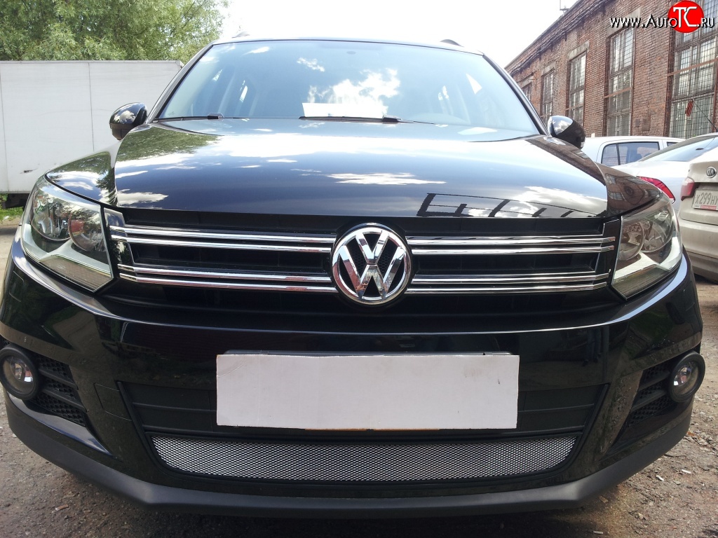 1 539 р. Сетка на бампер Sport&Style Russtal (хром) Volkswagen Tiguan NF рестайлинг (2011-2017)  с доставкой в г. Пермь